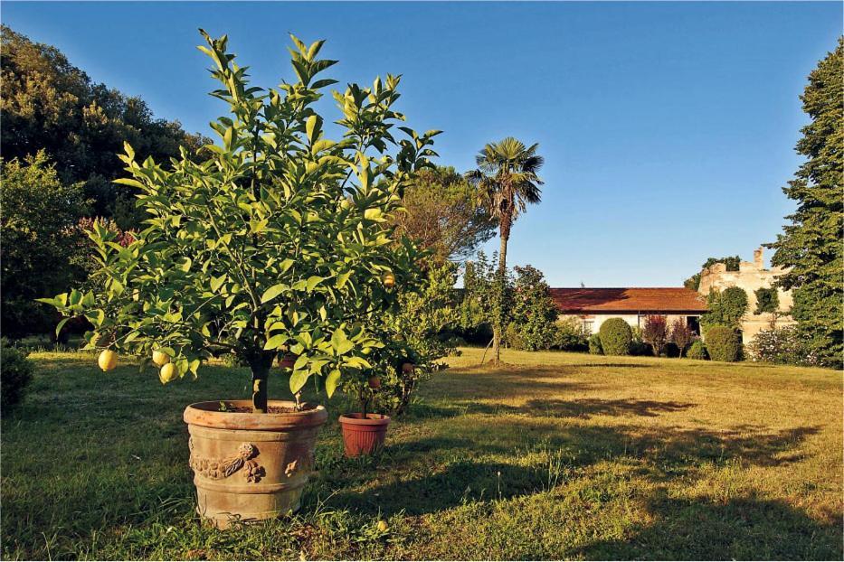 Fattoria Agriturismo Bigongiari Lukka Zewnętrze zdjęcie